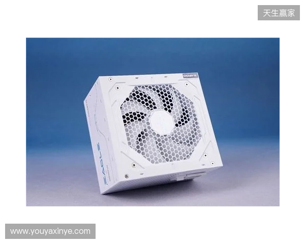 黑白双鹰，白金降临：技嘉猎鹰 冰猎鹰白金电源4月27日开售